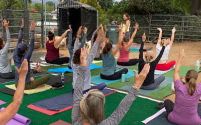 Our First Ever Goat Yoga Class